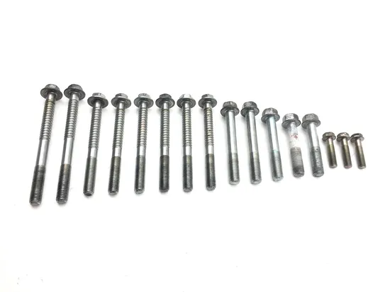 Upper Lower Center Cases Case Bolts 2001 Honda Interceptor 800 VFR800F 2873A