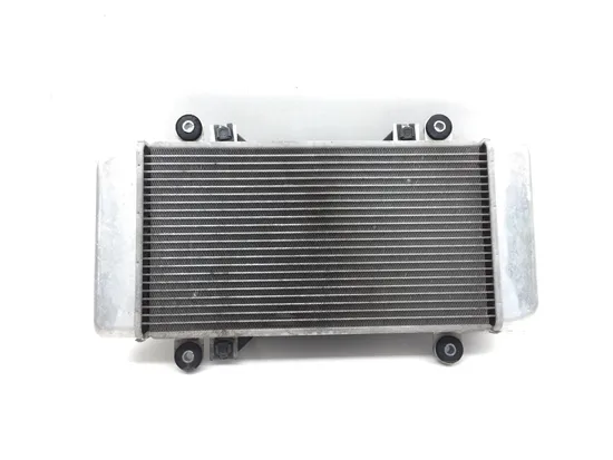 Radiator Cooling Front Fluid with Fan 2012 Kawasaki Ninja 250R EX250J 2871A