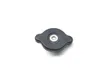 Radiator Cap 2013 Kawasaki Ninja 1000 ZX1000H ABS 2874A