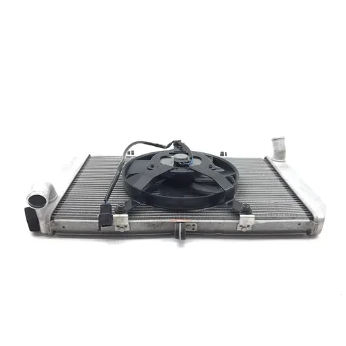 Radiator Cooling Front Fluid W  Fan 2013 Kawasaki Ninja 1000 ZX1000H ABS 2874A x 17