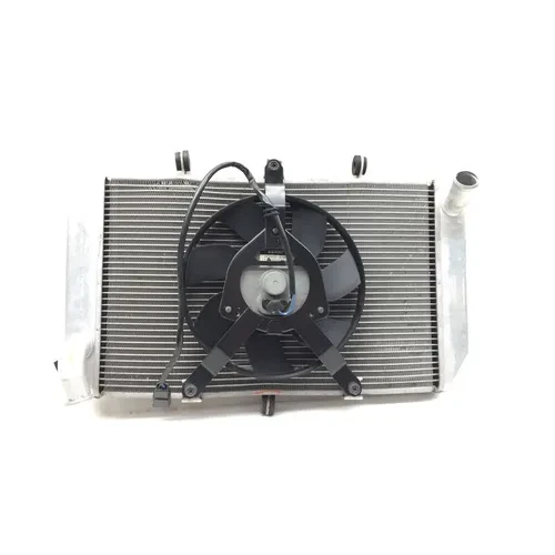 Radiator Cooling Front Fluid W  Fan 2013 Kawasaki Ninja 1000 ZX1000H ABS 2874A x 21