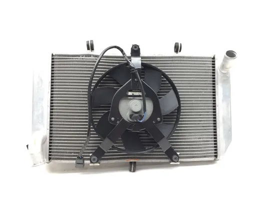 Radiator Cooling Front Fluid W  Fan 2013 Kawasaki Ninja 1000 ZX1000H ABS 2874A x