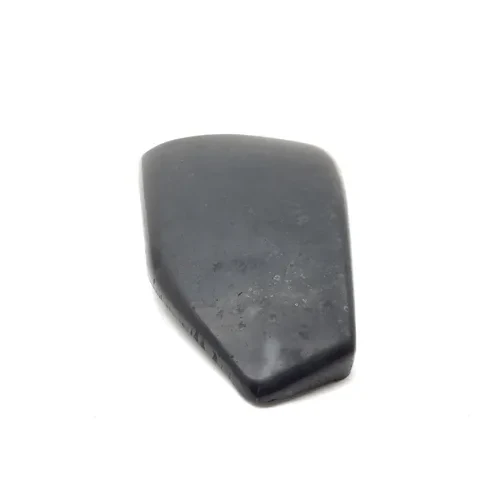 Left Side Cover 2004 Harley-Davidson Sportster 883 Custom XL883C 2883A x 13