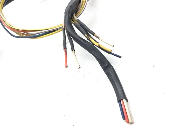 Headlight Turn Signal Horn Switch 2005 Harley Softail Deluxe EFI FLSTNI 2878A x