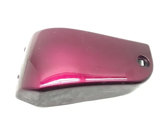 Left Side Cover 1996 Kawasaki Vulcan 1500 VN1500D Classic 2891A x