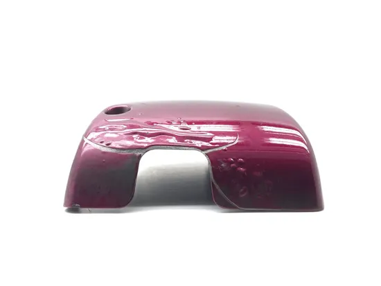 Right Side Cover 1996 Kawasaki Vulcan 1500 VN1500D Classic 2891A x