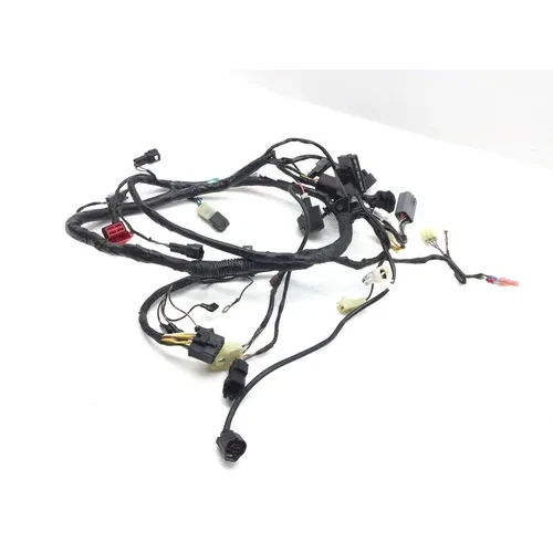 Main Engine Wiring Harness 2008 Kawasaki KLR650 2894A PARTS 12