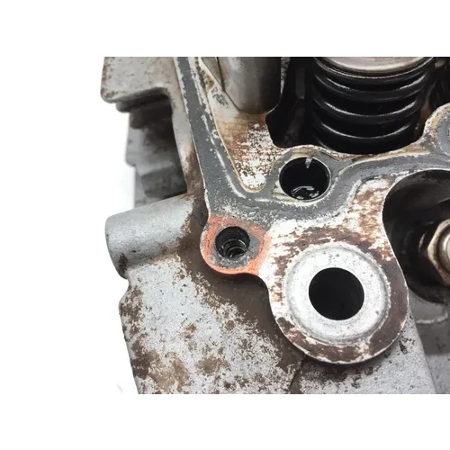 Engine Cylinder Head Complete W Cams Valves 2003 Honda Rancher 350 2x4 2903A x 13