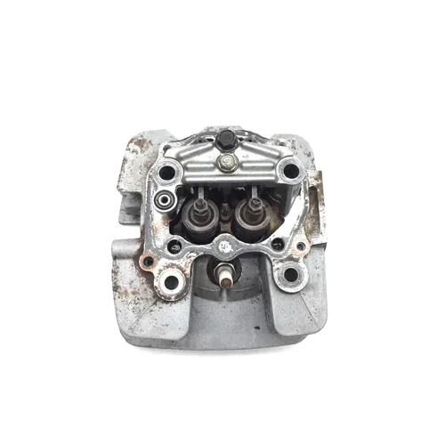 Engine Cylinder Head Complete W Cams Valves 2003 Honda Rancher 350 2x4 2903A x 19