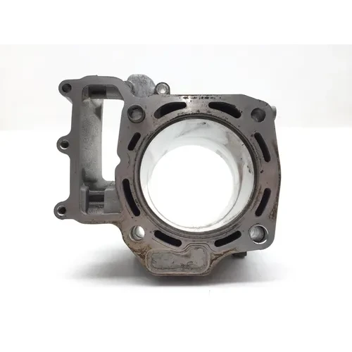 Cylinder Jug W Piston Front 2012 Kawasaki Teryx 750 KRF750V 4x4 FI 2904A x 17
