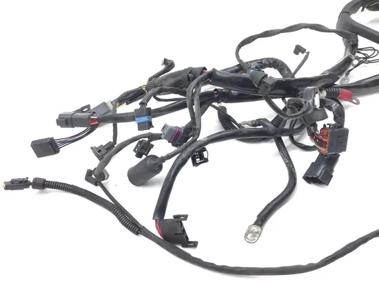 Main Engine Wiring Harness 2003 Harley Softail Standard EFI FXSTI 2918A x
