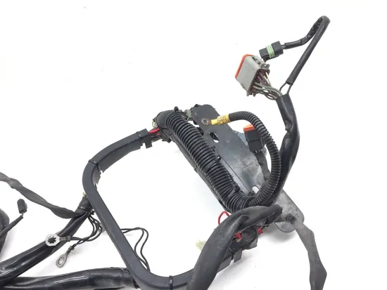 Main Engine Wiring Harness 2003 Harley Softail Standard EFI FXSTI 2918A x