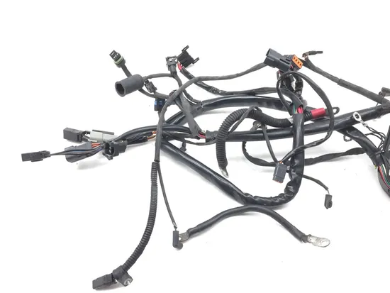 Main Engine Wiring Harness 2003 Harley Softail Standard EFI FXSTI 2918A x