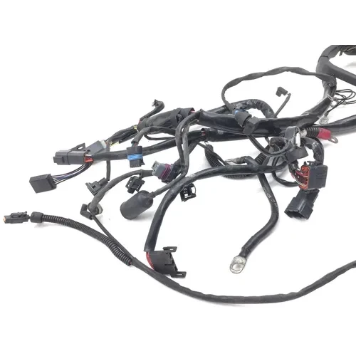 Main Engine Wiring Harness 2003 Harley Softail Standard EFI FXSTI 2918A x 7