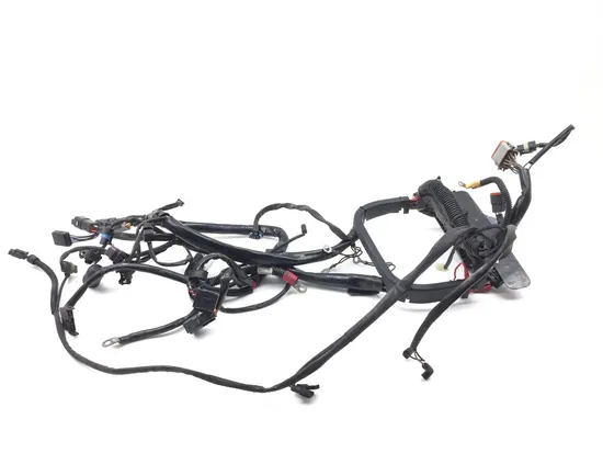 Main Engine Wiring Harness 2003 Harley Softail Standard EFI FXSTI 2918A x