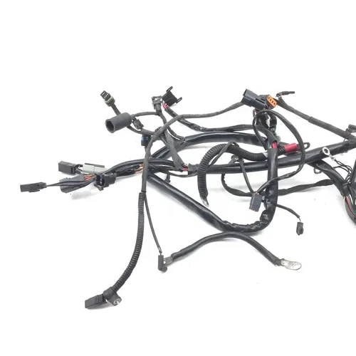 Main Engine Wiring Harness 2003 Harley Softail Standard EFI FXSTI 2918A x 12