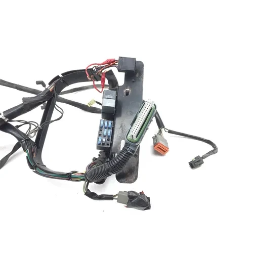 Main Engine Wiring Harness 2003 Harley Softail Standard EFI FXSTI 2918A x 9