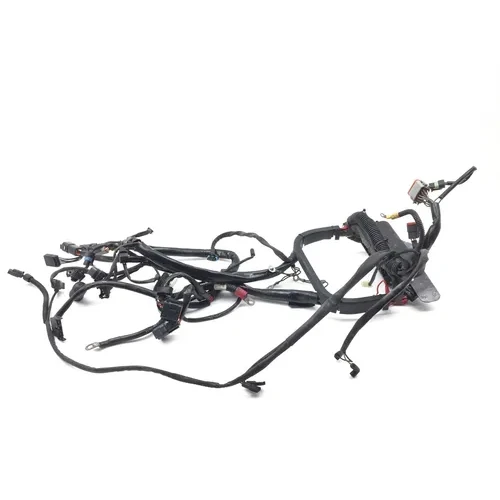 Main Engine Wiring Harness 2003 Harley Softail Standard EFI FXSTI 2918A x 3