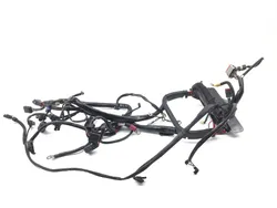 Main Engine Wiring Harness 2003 Harley Softail Standard EFI FXSTI 2918A x