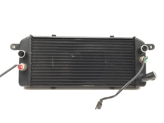 Engine Radiator Cooling 1998 Suzuki Marauder 800 VZ800 2905A x