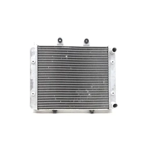 Engine Radiator Cooling 2010 Polaris RZR 800 EFI 2889A x 15
