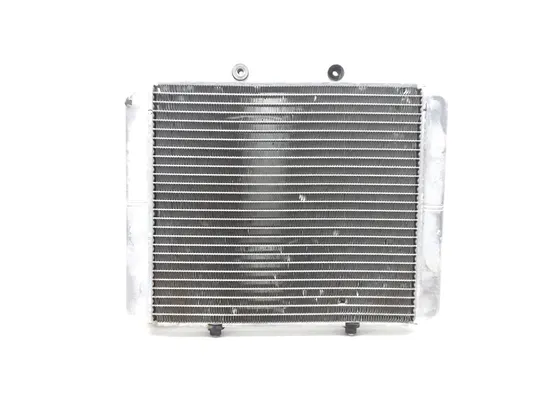 Engine Radiator Cooling 2010 Polaris RZR 800 EFI 2889A x