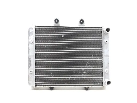 Engine Radiator Cooling 2010 Polaris RZR 800 EFI 2889A x