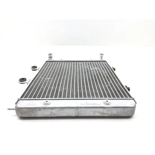 Engine Radiator Cooling 2010 Polaris RZR 800 EFI 2889A x 13