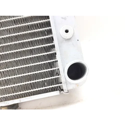 Engine Radiator Cooling 2010 Polaris RZR 800 EFI 2889A x 16