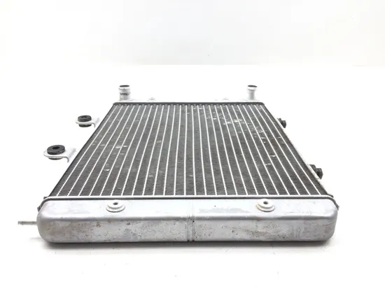 Engine Radiator Cooling 2010 Polaris RZR 800 EFI 2889A x