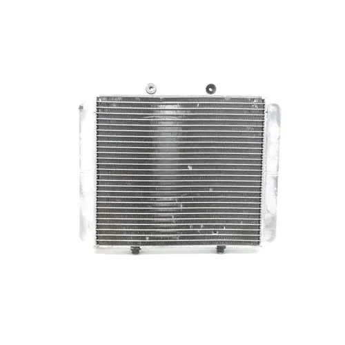 Engine Radiator Cooling 2010 Polaris RZR 800 EFI 2889A x 3
