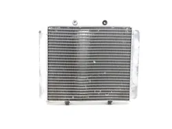 Engine Radiator Cooling 2010 Polaris RZR 800 EFI 2889A x