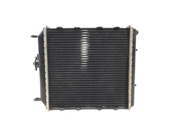 Engine Radiator Cooling 2018 Textron Wildcat Trail 700 4x4 Limited EPS 2902A x