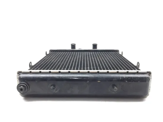 Engine Radiator Cooling 2018 Textron Wildcat Trail 700 4x4 Limited EPS 2902A x