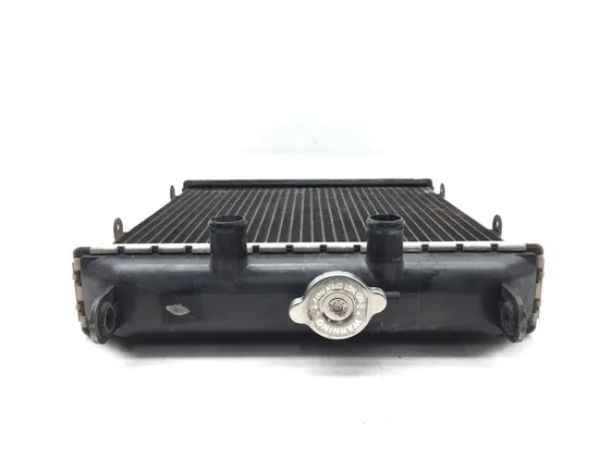 Engine Radiator Cooling 2018 Textron Wildcat Trail 700 4x4 Limited EPS 2902A x