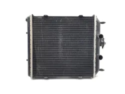 Engine Radiator Cooling 2018 Textron Wildcat Trail 700 4x4 Limited EPS 2902A x