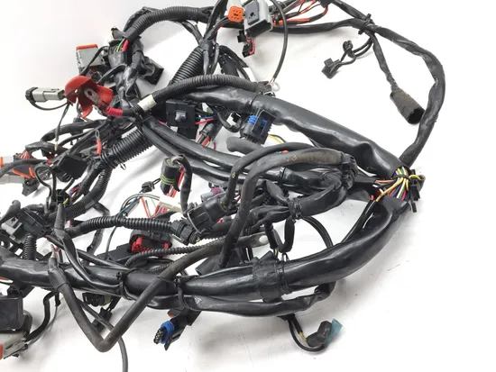 Main Engine Wiring Harness 2005 Harley-Davidson Electra Glide EFI FLHTI 2922A x