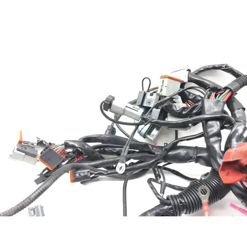 Main Engine Wiring Harness 2005 Harley-Davidson Electra Glide EFI FLHTI 2922A x 11