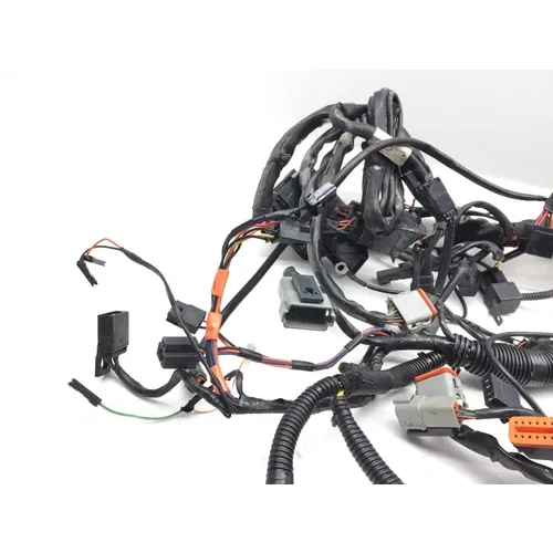 Main Engine Wiring Harness 2005 Harley-Davidson Electra Glide EFI FLHTI 2922A x 17