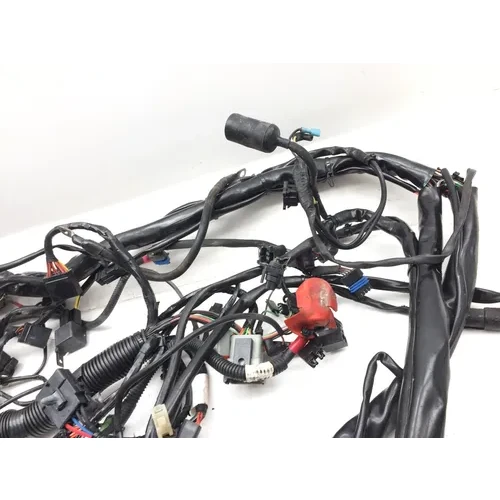 Main Engine Wiring Harness 2005 Harley-Davidson Electra Glide EFI FLHTI 2922A x 18