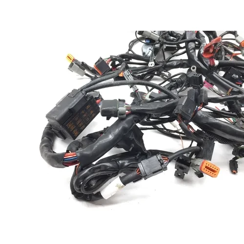 Main Engine Wiring Harness 2005 Harley-Davidson Electra Glide EFI FLHTI 2922A x 5