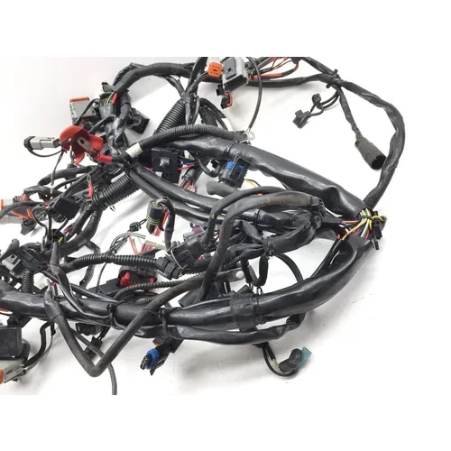Main Engine Wiring Harness 2005 Harley-Davidson Electra Glide EFI FLHTI 2922A x 7