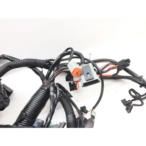 Main Engine Wiring Harness 2005 Harley-Davidson Electra Glide EFI FLHTI 2922A x 9