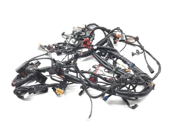 Main Engine Wiring Harness 2005 Harley-Davidson Electra Glide EFI FLHTI 2922A x