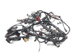 Main Engine Wiring Harness 2005 Harley-Davidson Electra Glide EFI FLHTI 2922A x