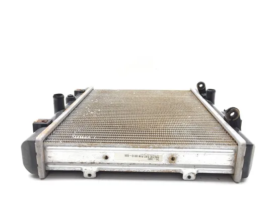 Engine Radiator Cooling 2012 Arctic Cat Prowler XTZ 1000 2921A x