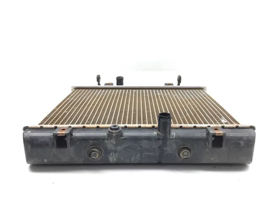 Engine Radiator Cooling 2012 Arctic Cat Prowler XTZ 1000 2921A x