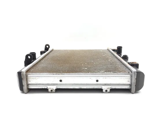 Engine Radiator Cooling 2012 Arctic Cat Prowler XTZ 1000 2921A x