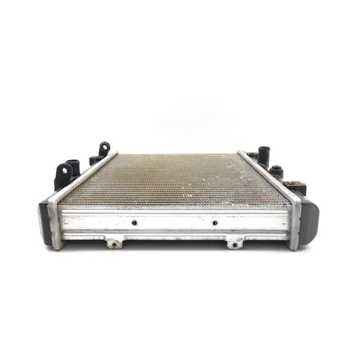Engine Radiator Cooling 2012 Arctic Cat Prowler XTZ 1000 2921A x 9