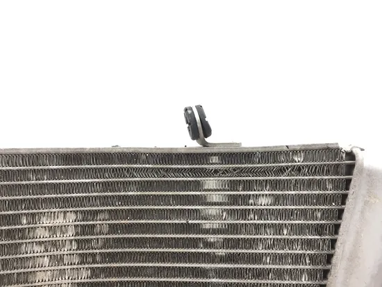 Engine Radiator Cooling Fan 2004 Suzuki GSXR750 2931A x